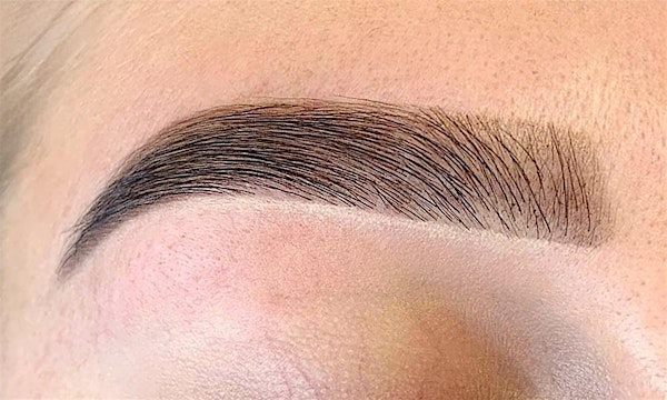 ★ Brow Wax Shape & Tint | Henna - Certified Training Kit Included) | 5191 S University Dr suite 3
