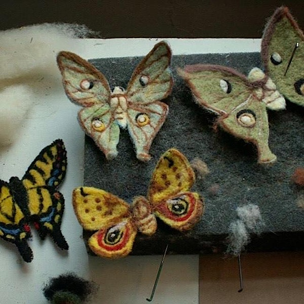 Needle Felted Moths!  with Erin Carlson | Contemporary Craft - Timmons Studios