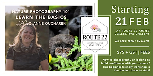 Nature Photography 101 | Route 22 Artist Collective Gallery