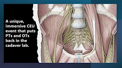 Pelvic Floor Cadaver Anatomy: In-Depth Cadaver Exploration | Pelvic Floor | 1020 Locust St