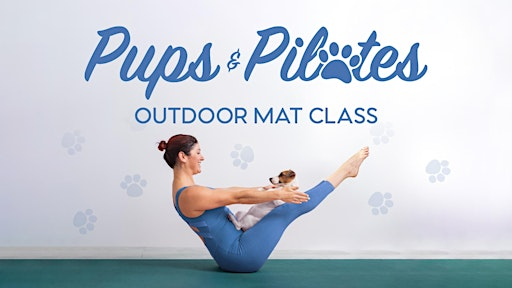 Pups & Pilates Mat Class! | The Wag - Dog Bar and Park