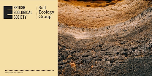 Soil Ecology in Practice | University of Stirling