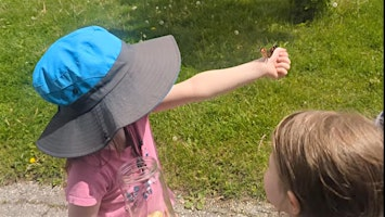 Claireville Family Program: Creek Crawlers | Claireville Conservation Area (Field Study Centre)