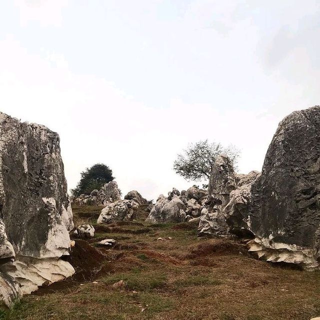 STONE GARDEN, WEST JAVA