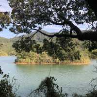 河背水塘