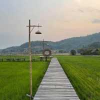ทุ่งเคียงดอย คาเฟ่กลางทุ่งนา @เชียงราย