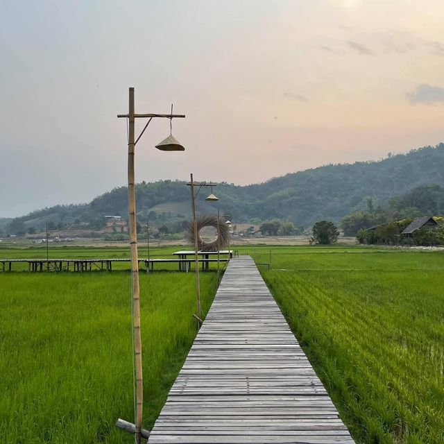 ทุ่งเคียงดอย คาเฟ่กลางทุ่งนา @เชียงราย