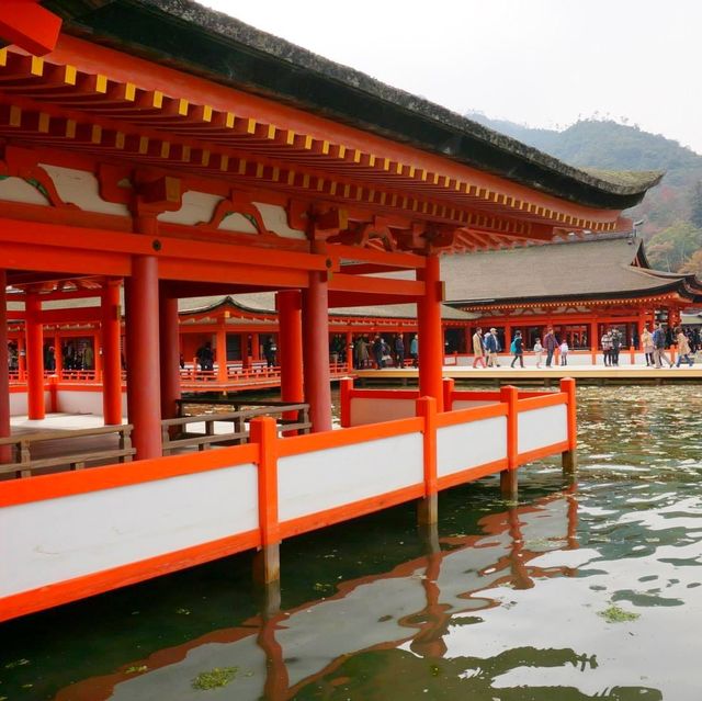海上鳥居⛩️｜廣島