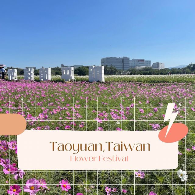 2021桃園花季在平鎮🌸🌼大家一起野球趣吧⚾️！