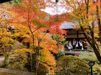 京都[紅葉めぐり]  永観堂(禅林寺)  圧巻の堂内編
