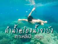 ชมความงามของประการังเจ็ดสี ที่ร่องน้ำจาบังหลีเป๊ะ