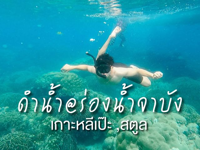 ชมความงามของประการังเจ็ดสี ที่ร่องน้ำจาบังหลีเป๊ะ