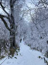 제주도 한라산은 하얗게 변했어요