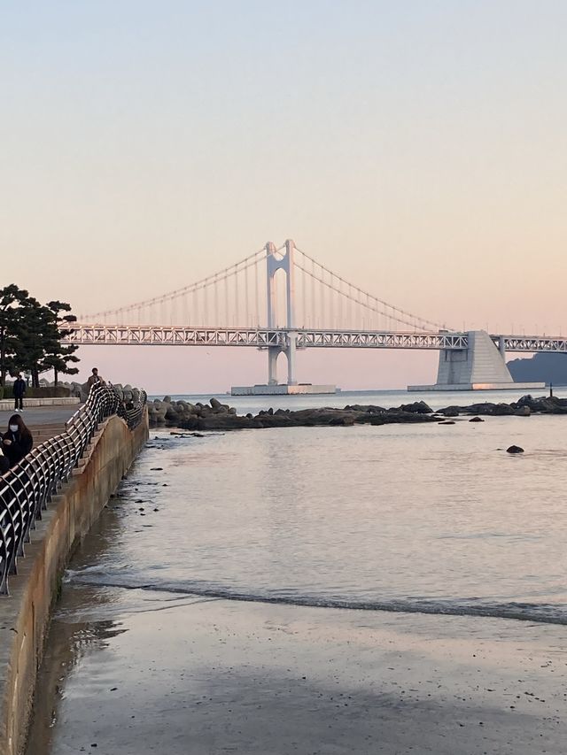 부산 노을명소