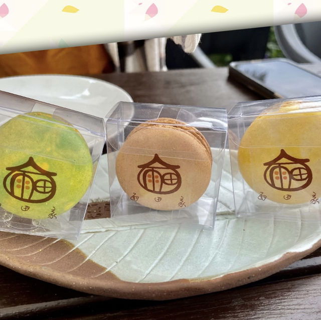 台東小魚兒的家