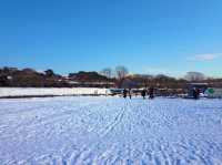 北海道　冬の道南観光！オススメ観光スポット　函館五稜郭タワー〜五稜郭公園