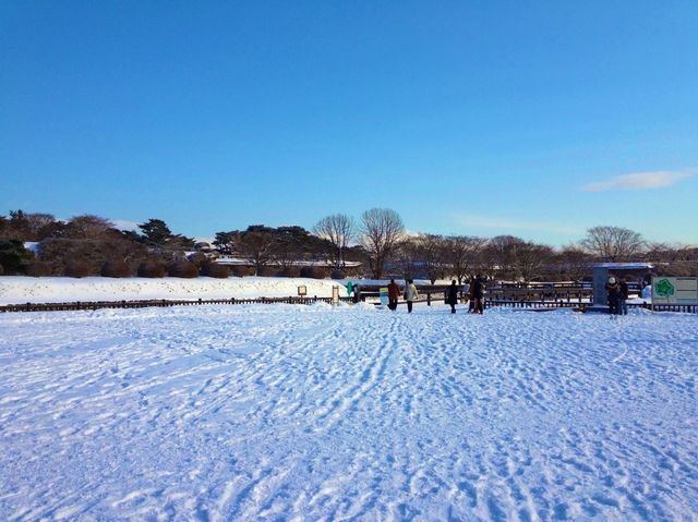 北海道　冬の道南観光！オススメ観光スポット　函館五稜郭タワー〜五稜郭公園