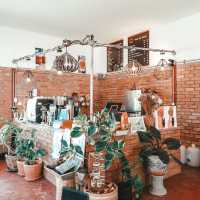 🏘 HOM DOI COFFEE BY หอมดอย เชียงใหม่ 🏘