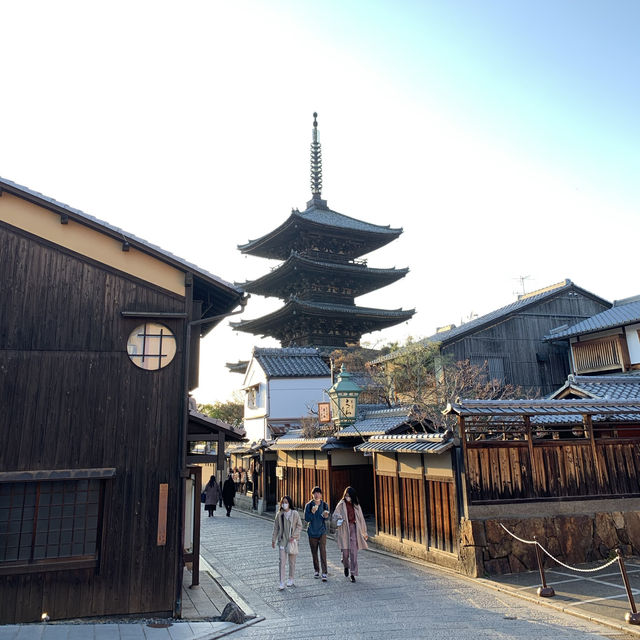京都　京都散策旅　八坂の塔の桜とのコラボに感動❗️
