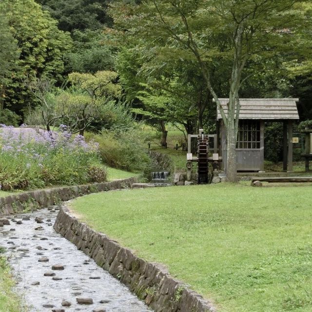 河内長野公園で遊ぼう！