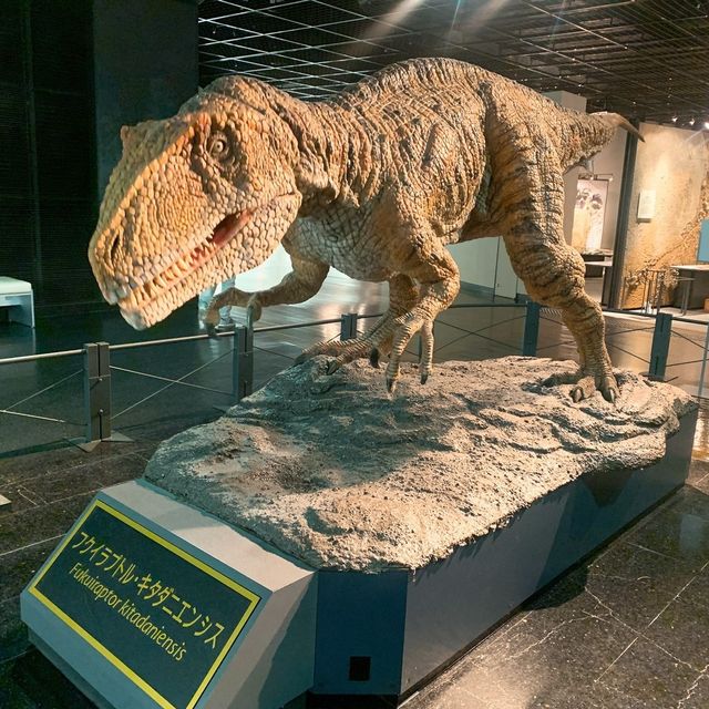 福井県にある恐竜博物館に行ってきた！