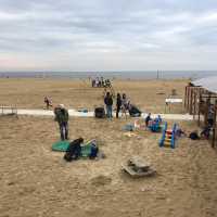 Scheveningen Beach at the Hague