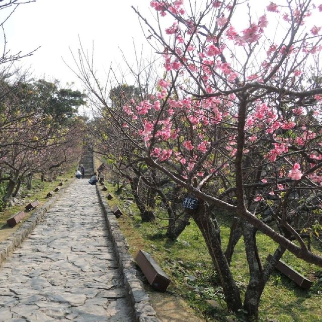 沖繩文化遺跡