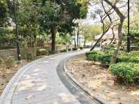 青龍尾灘