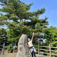 [등산 초보도 완등 가능 ] 서울 등산하기 좋은 산 추천  청계산 
