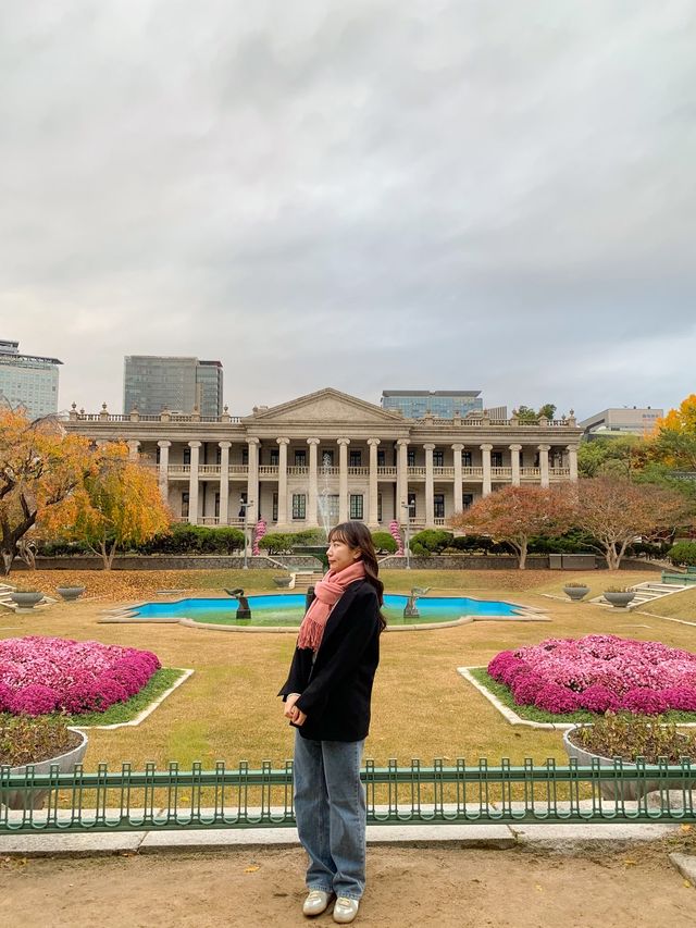 단풍철에는 덕수궁 꼭 가보기 📝!
