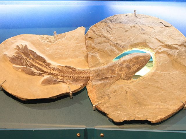 世界遺產加拿大米瓜蘇國家公園