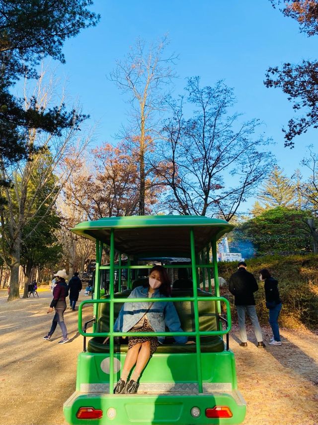 🍁편하게 남이섬 둘러보는 '스토리 투어버스'🚃