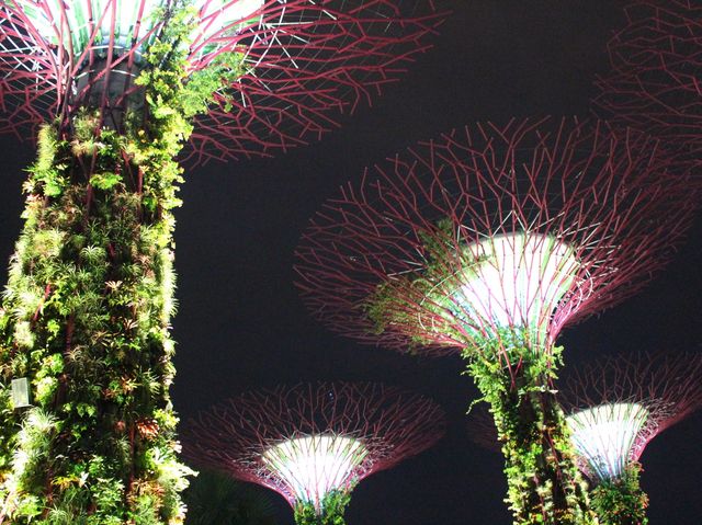 Gardens by the Bay