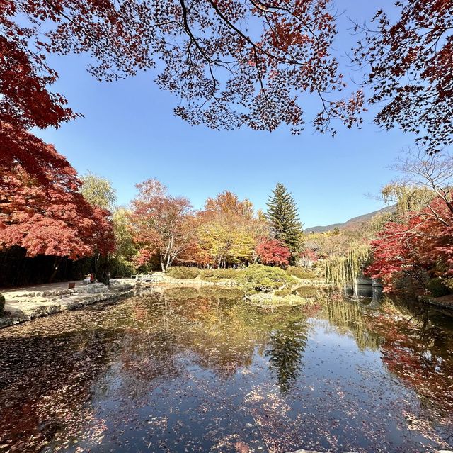 Gyeongju , is a must place to enjoy autumn 🍂