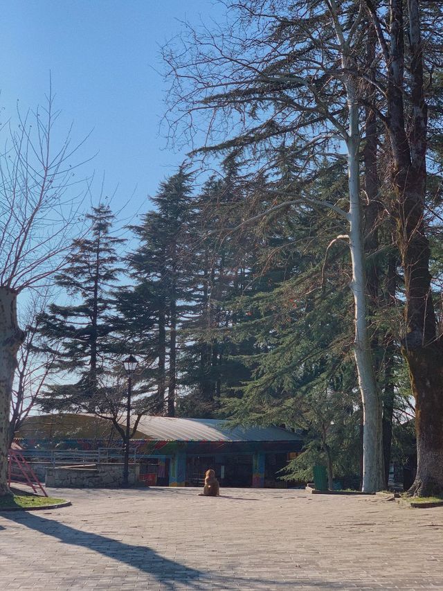 쿠타이시 🎶 조지아 여행지 추천