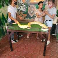 davao crocodile Park is a scaly experience 