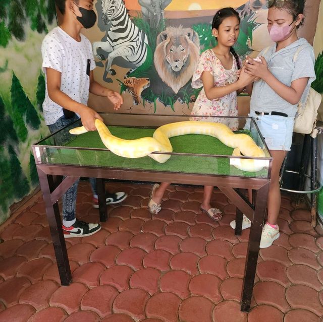 davao crocodile Park is a scaly experience 