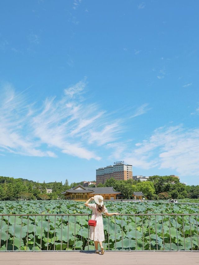 이곳이 도서관?! 한옥 도서관과 넓은 공원의 ♥️ 전주 덕진공원