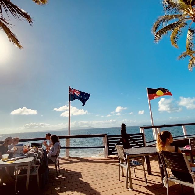 Townsville 隔壁的小島、你一定要去看看野生的無尾熊，就在你面前