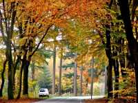 Explore Hoge Veluwe National Park