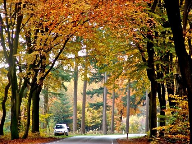 Explore Hoge Veluwe National Park