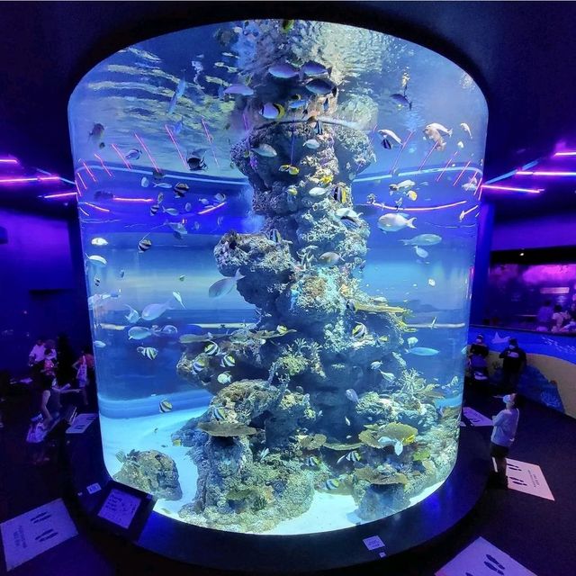 S.E.A. Aquarium