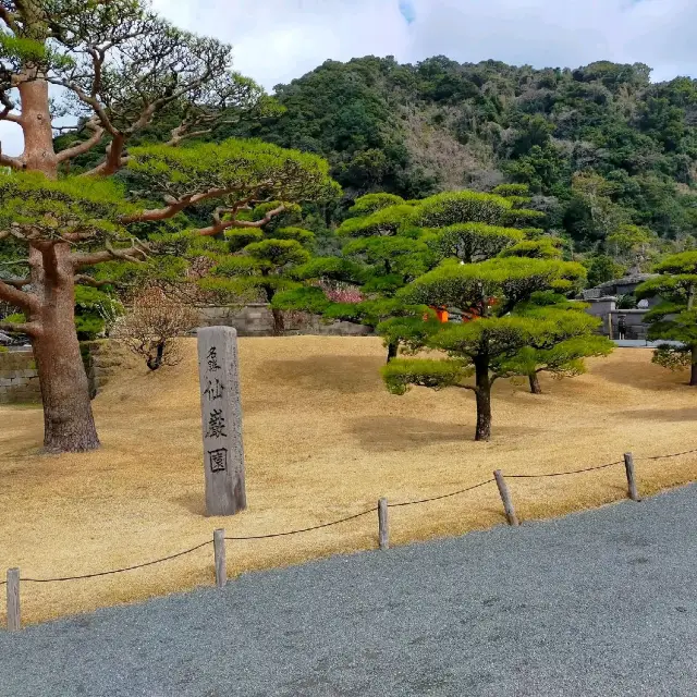 世界遺産　仙厳園