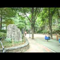 보코서울강남과 함께 한 플로깅 in 서울, 학동근린공원