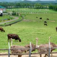 【北海道】スリル満点！？なエサやり体験
