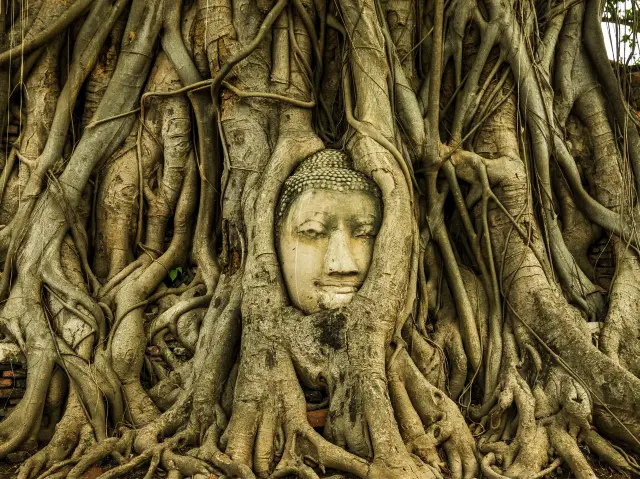 Wat Phra Mahathat@Ayutthaya, Thailand