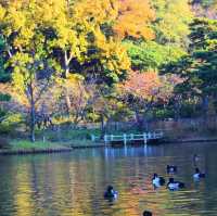 神奈川県にある三渓園！😆
