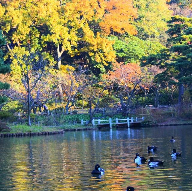 神奈川県にある三渓園！😆