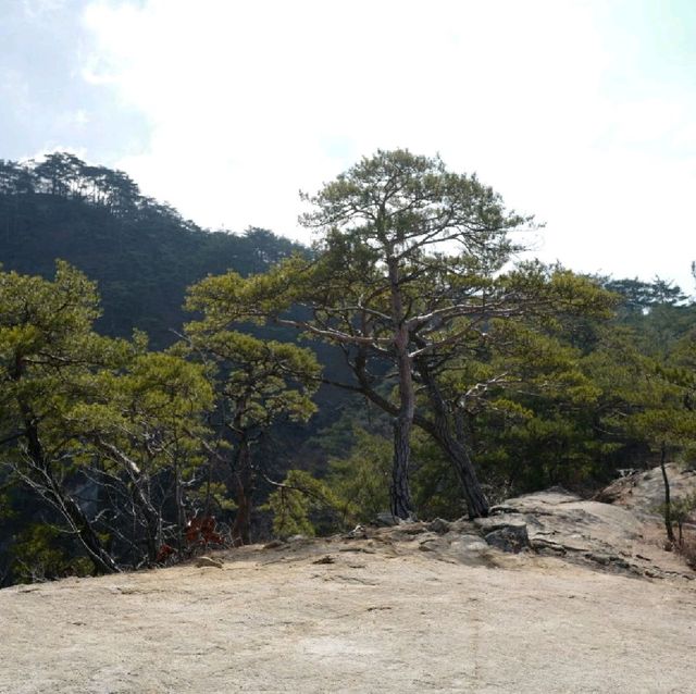 괴산여행 칠보산 등산