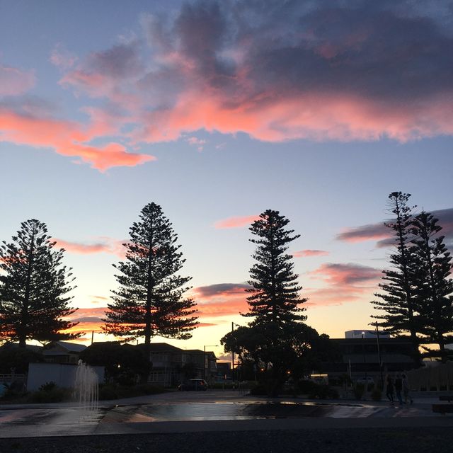 싱그럽고 따뜻한 기후의 뉴질랜드 네이피어🇳🇿✨
